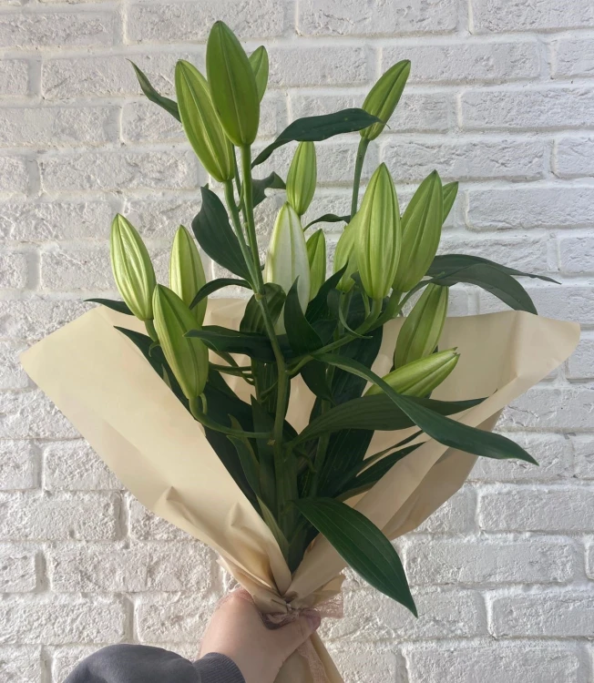 Букет Колокольчики